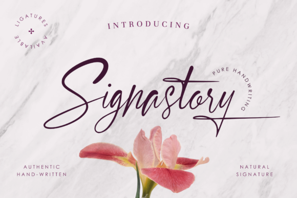 Signastory: The Handmade Calligraphy Font for Modern Brands